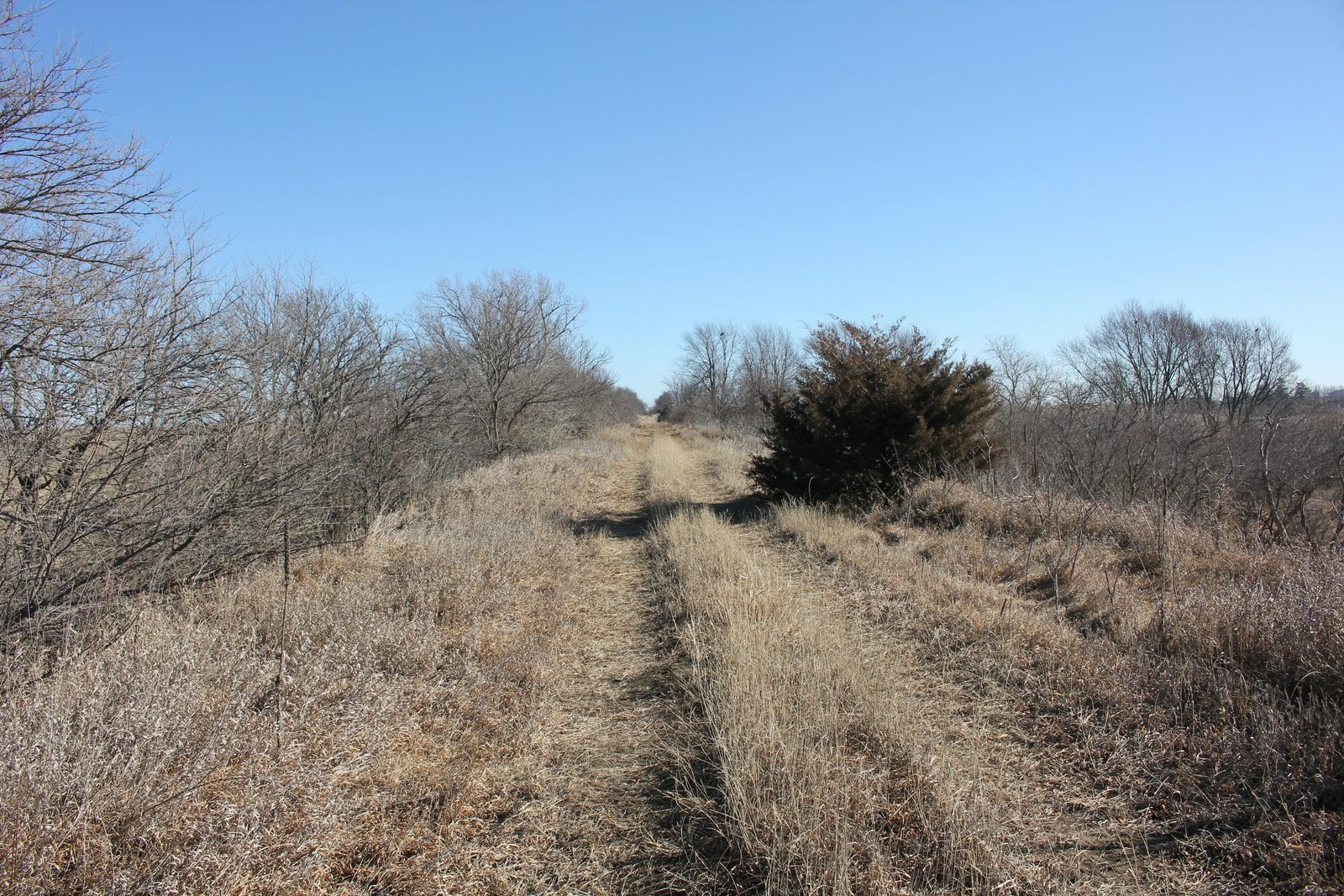 Looking east